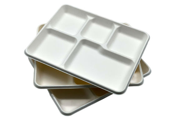 School Bagasse Biodegradable Food Trays 260x210x24mm