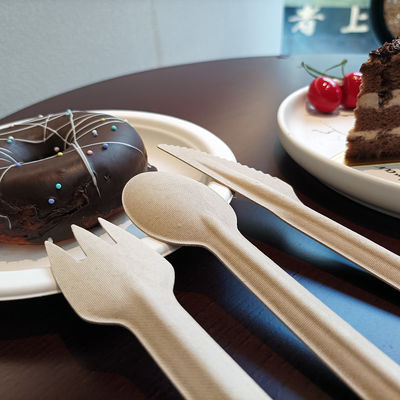 Compostable Disposable Bagasse Serving Spoons Cutlery